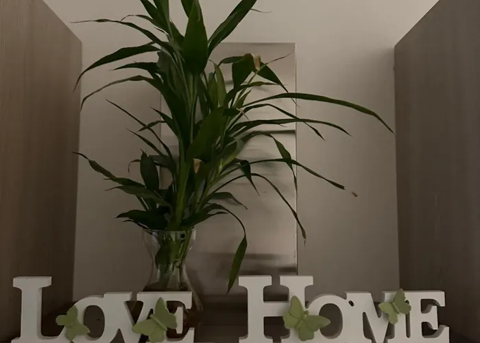 Bala Dream House Bed & Breakfast